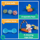 AMZpets Dog Toys for Large Dogs - Set of 10
