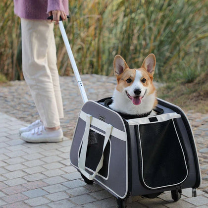 Petsfit Pet Carrier With Wheels