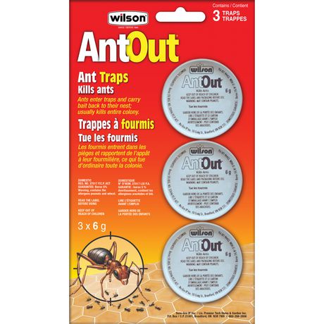 WILSON AntOut Ant Traps - 3 Pack