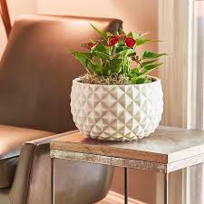 12" x 8"  White Pineapple Planter (CMX069744)