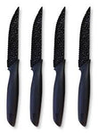 Heritage The Rock 4-Piece Steak Knife Set