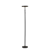 Black Finish LED Floor Lamp