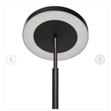 Black Finish LED Floor Lamp