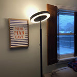 Black Finish LED Floor Lamp