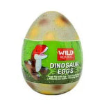 Wild Republic Dinosaur Egg